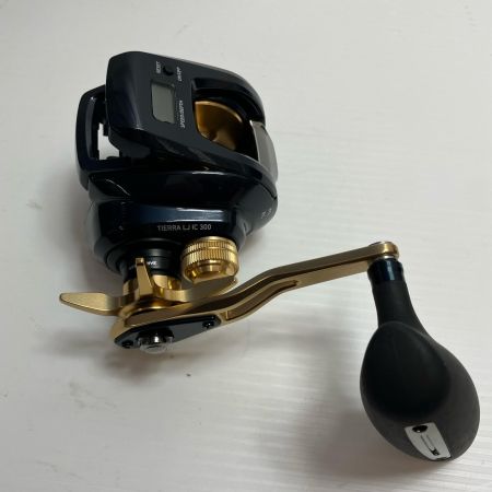 DAIWA ダイワ ベイトリール 23ティエラ LJIC300HL 00631025