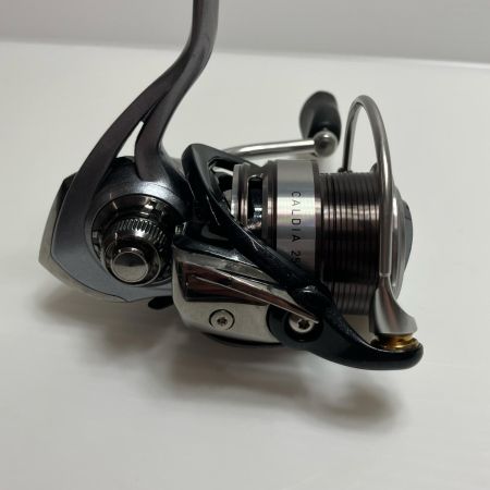 DAIWA ダイワ スピニングリール 14カルディア  056163