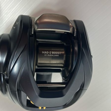 DAIWA ダイワ ベイトリール 23スティーズ AⅡ TW 1000H  00613384