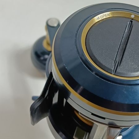 DAIWA ダイワ 631544 (299933) 釣り用品 リール ベイトリール 21ソルティガIC 100H-DH キズ有 程度AB 箱付