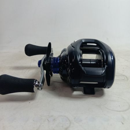 DAIWA ダイワ 00631039 釣り用品 リール ベイトリール ソルティスト TW300XH L 程度A