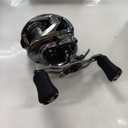 DAIWA ダイワ 00630209 釣り用品 リール ベイトリール スティーズリミテッド SV TW 1000S-XH 程度A 箱付