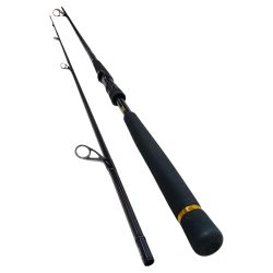 DAIWA ダイワ 01480347 釣り用品 ロッド シーバスロッド モアザンEX AGS106M 美品 程度A 袋付 Aランク