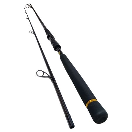 DAIWA ダイワ 01480347 釣り用品 ロッド シーバスロッド モアザンEX AGS106M 美品 程度A 袋付