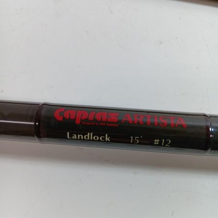 ｻﾜﾀﾞｶﾌﾟﾗｽ 釣り用品 ロッド フライロッド 程度B