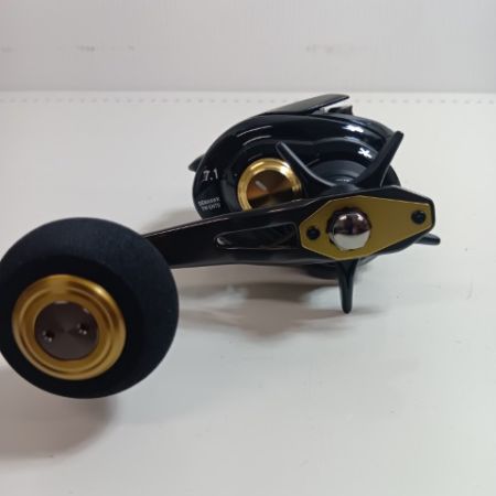 DAIWA ダイワ 351112 釣り用品 リール ベイトリール シーホーク TW エントウ 程度B