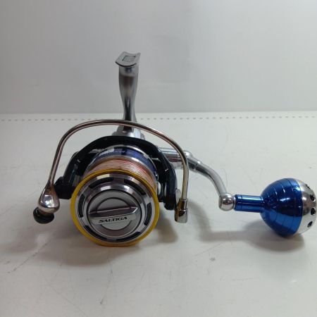 DAIWA ダイワ 00059525 釣り用品 リール スピニングリール 10ソルティガ 4500H キズ・サビ有 程度B RCS4530PEスプールカスタム