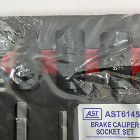 AST社 ブレーキキャリパー ソケットセット AST6145