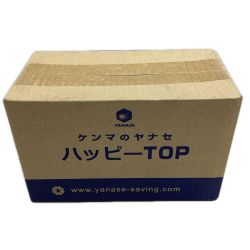 YANASE 砥石 YANASE HTOPS3  HTOPS3 ハッピーTOP S#40 HTOPS3 1セット(20枚) Sランク
