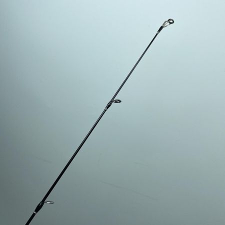 tailwalk テイルウォーク 17306 サクラマスジグSSD C651