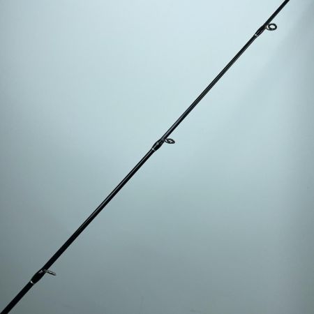 tailwalk テイルウォーク 17306 サクラマスジグSSD C651