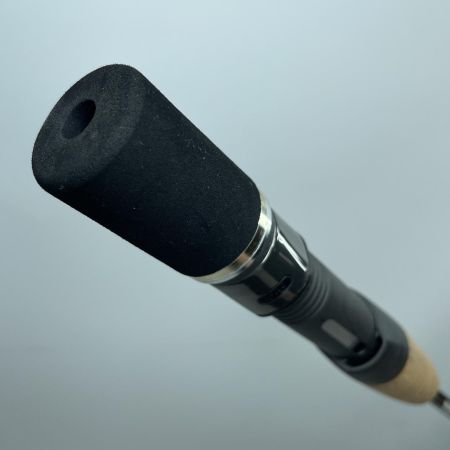 tailwalk テイルウォーク 17306 サクラマスジグSSD C651