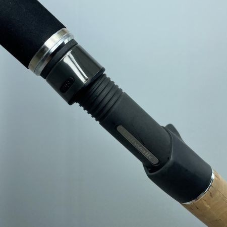 tailwalk テイルウォーク 17306 サクラマスジグSSD C651