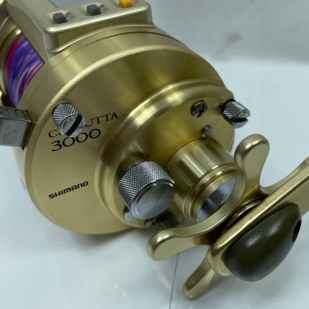 SHIMANO シマノ カルカッタ3000 RF293