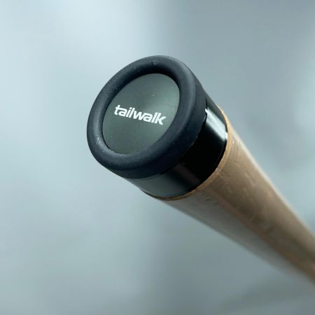 tailwalk テイルウォーク ケイソンランズバック2 C74MH 17349