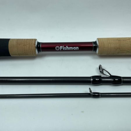 Fishman フィッシュマン ブリスト ベンダバール10.1M