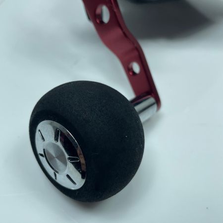 DAIWA ダイワ 電動リール 251924(00810040) 23レオブリッツ S500JP