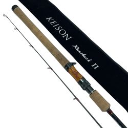 tailwalk テイルウォーク ケイソンランズバック2 C74MH Bランク