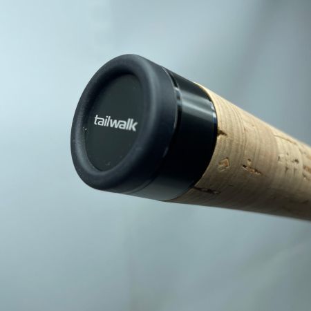 tailwalk テイルウォーク ケイソンランズバック2 C74MH