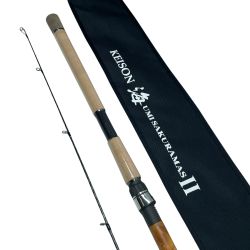 tailwalk テイルウォーク ケイソン海サクラマスⅡS96ML 17315 Aランク