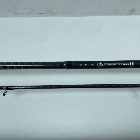 tailwalk テイルウォーク ケイソン海サクラマスⅡS96ML 17315