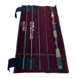 Fishman フィッシュマン ブリストコンパクト BC5 8.7H Aランク