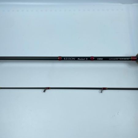 tailwalk テイルウォーク ケイソン ランズバック2 C66M 17347 本体のみ