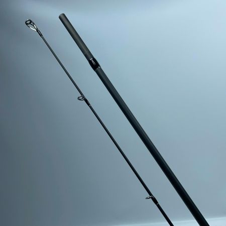 tailwalk テイルウォーク ケイソンギンセイプラス 116H 17182