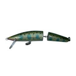 SAURUS ザウルス バルサ50 ブラウニー ジョイント Bランク