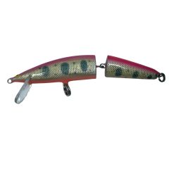 SAURUS ザウルス バルサ50 ブラウニー ジョイント Bランク