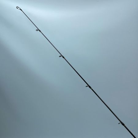 tailwalk テイルウォーク サクラマスジグTZ C651