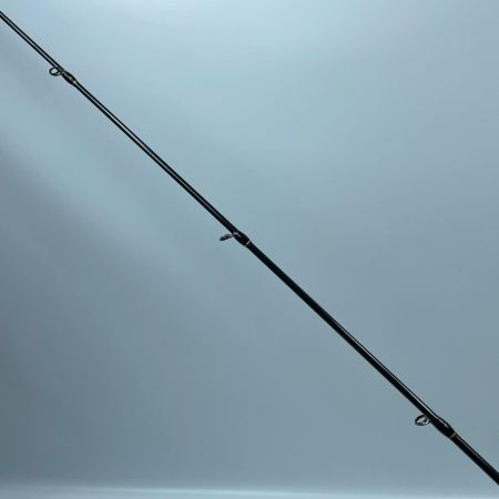 tailwalk テイルウォーク サクラマスジグTZ C651