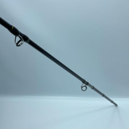 tailwalk テイルウォーク サクラマスジグTZ C651