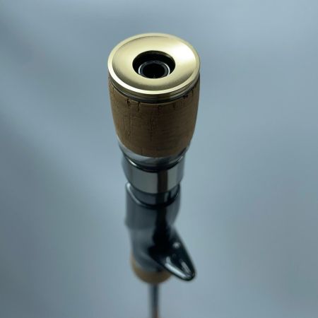 tailwalk テイルウォーク サクラマスジグTZ C651