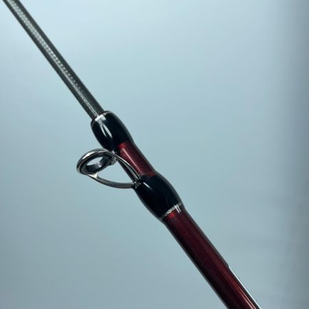 Fishman フィッシュマン ビームス XPAN 4.3LTS