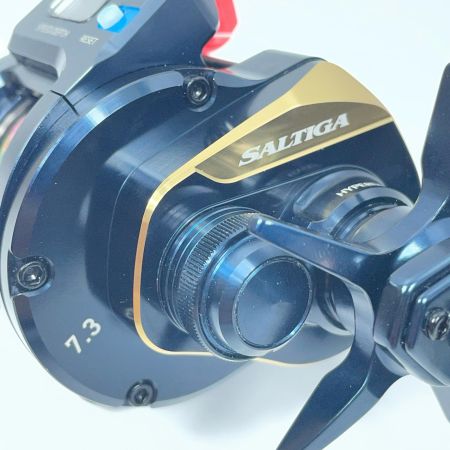 DAIWA ダイワ ベイトリール 25ソルティガIC300H-SJ-C 00631594 (444494)
