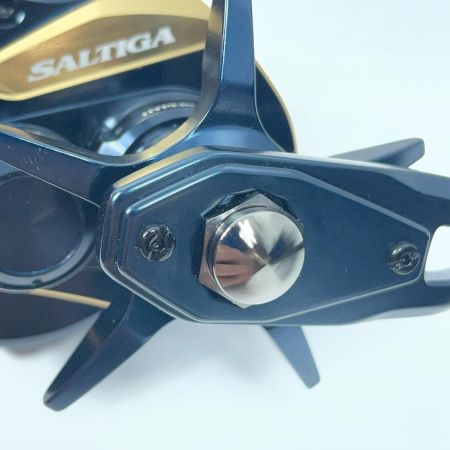 DAIWA ダイワ ベイトリール 25ソルティガIC300H-SJ-C 00631594 (444494)