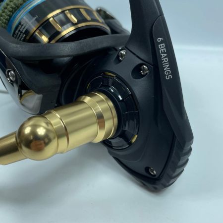 DAIWA ダイワ スピニングリール 23BG SW 10000-H 00065066 (347474)