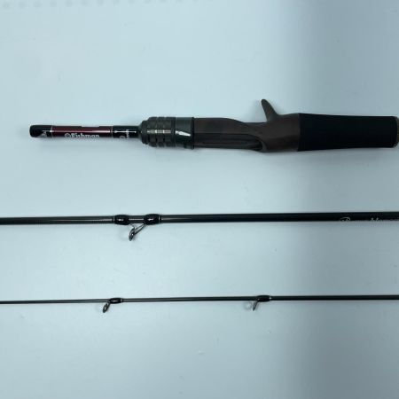 Fishman フィッシュマン ビームス ブランシエラ 4.11L