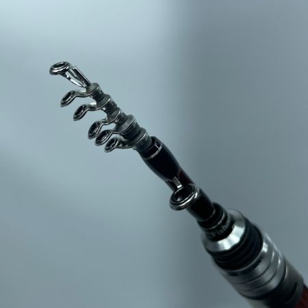 Fishman フィッシュマン ビームス XPAN 4.3LTS