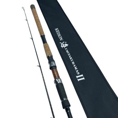 tailwalk テイルウォーク ケイソン海サクラマスⅡ S106M 17316