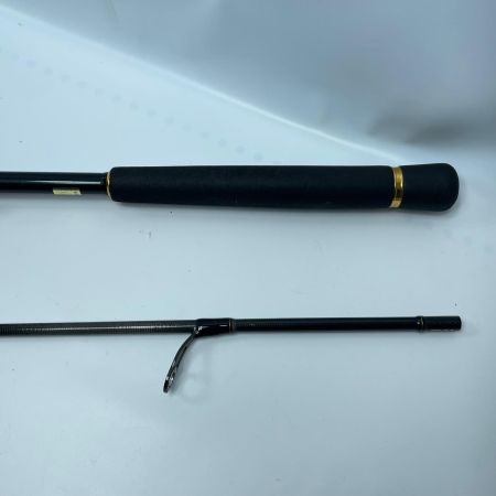 DAIWA ダイワ モアザンEX AGS98ML/M 01480335