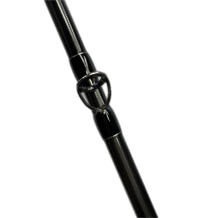 Fishman フィッシュマン ブリスト ベンダバール 8.9M