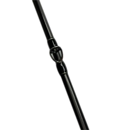 Fishman フィッシュマン ブリスト ベンダバール 8.9M