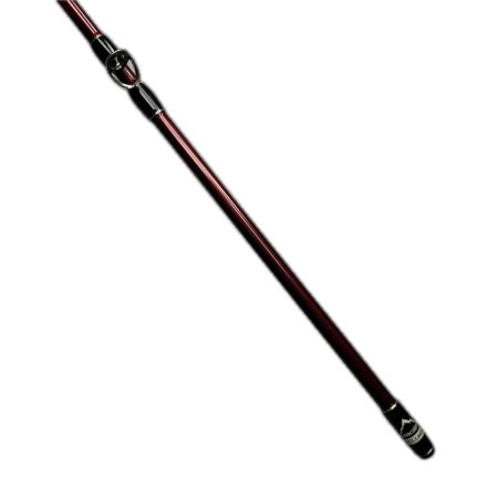 Fishman フィッシュマン ビームスブランシエラ 3.9UL