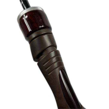 Fishman フィッシュマン ビームスブランシエラ 3.9UL
