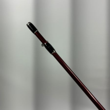 Fishman フィッシュマン ビームスブランシエラ 3.9UL