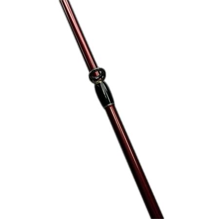 Fishman フィッシュマン ビームスブランシエラ 3.9UL