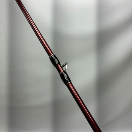 Fishman フィッシュマン ビームスブランシエラ 3.9UL