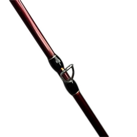 Fishman フィッシュマン ビームス ローワー 7.3L